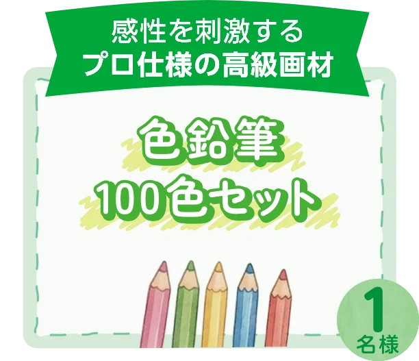 感性を刺激するプロ仕様の高級画材 色鉛筆 100色セット
